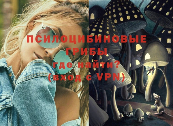 амф Алексин