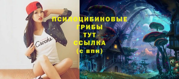 амф Алексин