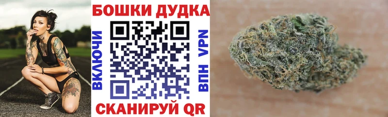 Канабис семена  Аткарск 